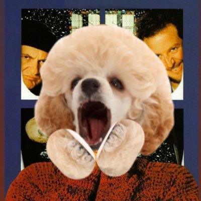 SnowflakeAlone's profile picture. Home Alone: But staring a poodle puppy who was abandoned in a frozen Texas mansion while her Senator father was vacationing in Cancun during a pandemic