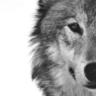 ine08435678's profile picture. 