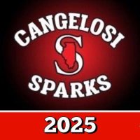 Cangelosi Sparks 2025 (@sparksbaseball1) 's Twitter Profile Photo