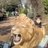 8_shanti_8's profile image