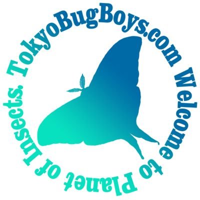 昆虫の惑星へようこそ
Welcome to Planet of Insects
#TokyoBugBoys