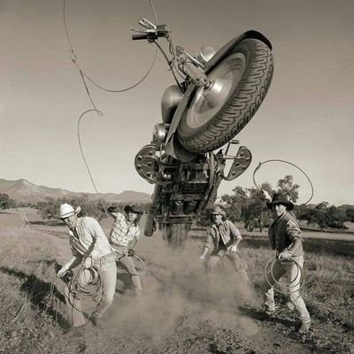 AlexFenixGold's profile picture. создатель нового времени