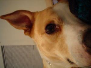 anarchaicnation's profile picture. HI, HOW ARE YOU