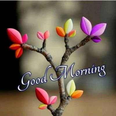 Sandeep08317859's profile picture. iam cool boy