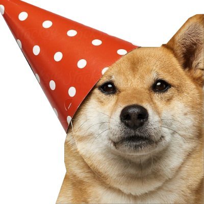 Esports wannabe and Shiba Inu Stan. Profile picture related.