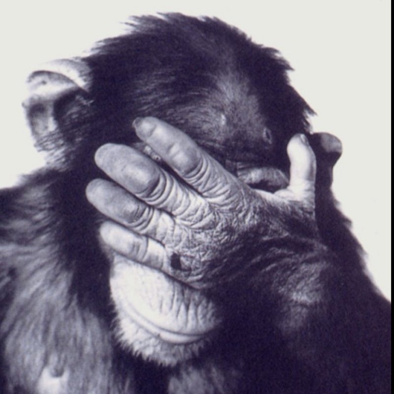 Cfritze64's profile picture. indecisoin me molesta