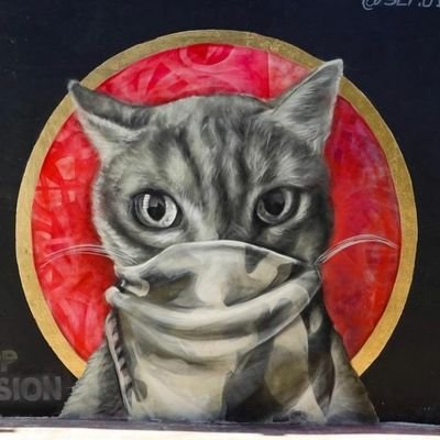 kidneyKitty's profile image