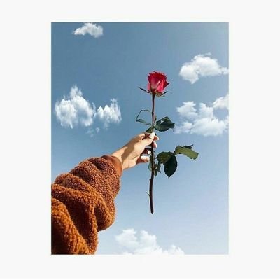 nisha49823074's profile picture. let's find some beautiful place to got lost❤