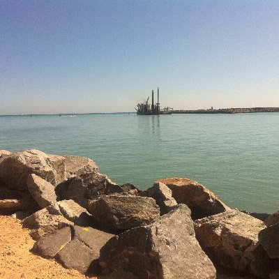 rajrac1's profile picture. 