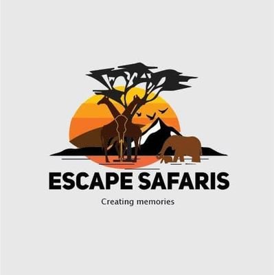 EscapeSafaris_ Profile Picture