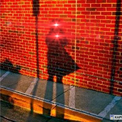 adeledalleray's profile picture. 