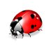 Dorine Reinstein (@dorinereinstein) Twitter profile photo Dorine Reinstein (@dorinereinstein) Twitter profile photo