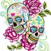 Awesome Skull Shop (@my_skull_shop) Twitter profile photo