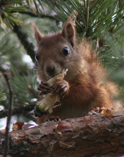 gkagge's profile picture. father, husband, believer, journalist, unionist, cyclist and skier