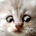Erroll Neaville (@errolln) Twitter profile photo Erroll Neaville (@errolln) Twitter profile photo