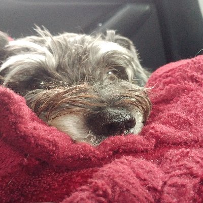 _sorayan's profile picture. 🍑