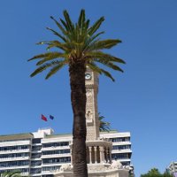 Mehmet Aydın (@mtmmt35) 's Twitter Profile