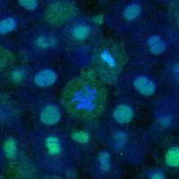 Hiroto Fukushima (@hsf_sci) 's Twitter Profile Photo Hiroto Fukushima (@hsf_sci) 's Twitter Profile Photo