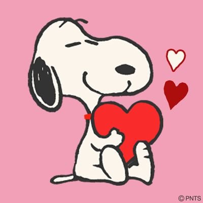 yumi11108835's profile picture. 