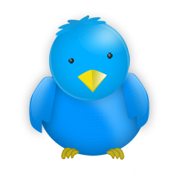 saleav's profile picture. 