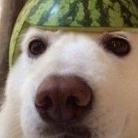 Krass (@krassfn) 's Twitter Profile