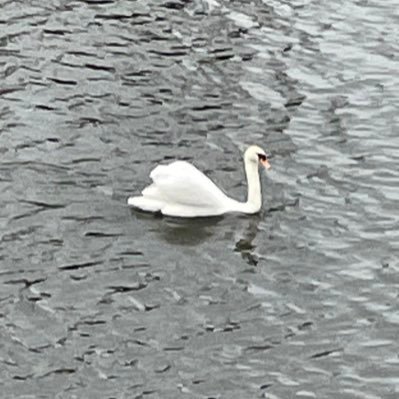 AScottiequine's profile picture. Me