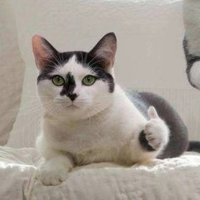 Janice (@janice_zrjia) 's Twitter Profile