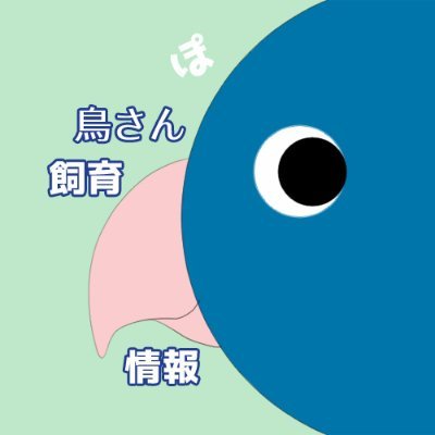 鳥さんの基本的な飼育に関する情報をツイートするアカウントです 固定ツイ参照のこと。飼育のお悩み相談乗ります。 質問箱→ https://t.co/7HEQHWBv9s ツイログ→ https://t.co/iQ2J78cvtA… 中の人→@ponzu_button