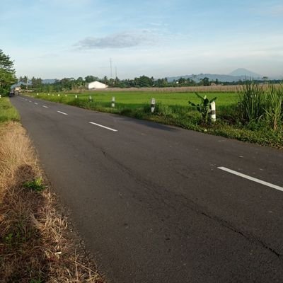 hari_h22's profile picture. 🐳