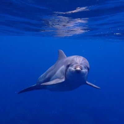 eiko_0923's profile picture. 