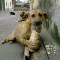 tag için gt (@priecaws) Twitter profile photo