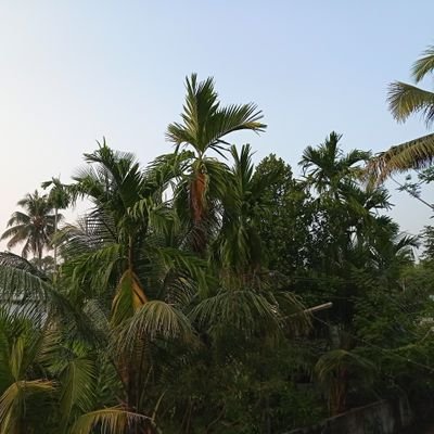 Augusti22690392's profile picture. it's the beginning of something new