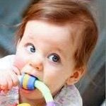 Plastic Reflections (@plasticreflect1) 's Twitter Profile