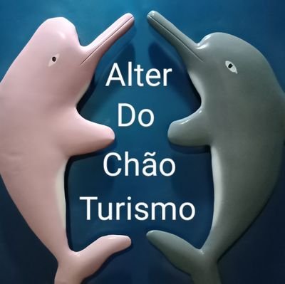 agente e guia de turismo em Alter do chão e região, o melhor do ecoturismo em alter do chão e região