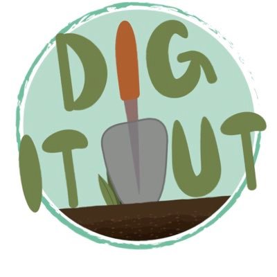 DigitoutC Profile Picture