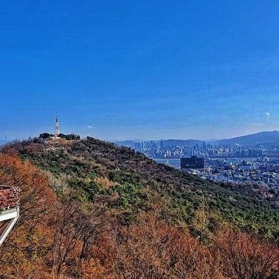 Gwy Robさんのプロフィール画像