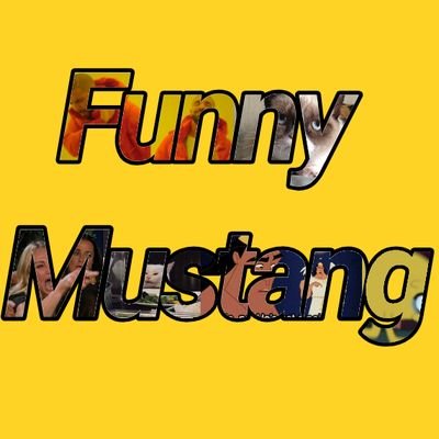 FunnyMustang Profile Picture