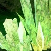 overleafseries's profile picture. 