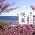 桐のかほり咲楽【全4部屋貸切露天風呂&オーシャンビュー付】【運営元:株式会社小野写真館】 (@kiriyado_sakura) Twitter profile photo 桐のかほり咲楽【全4部屋貸切露天風呂&オーシャンビュー付】【運営元:株式会社小野写真館】 (@kiriyado_sakura) Twitter profile photo