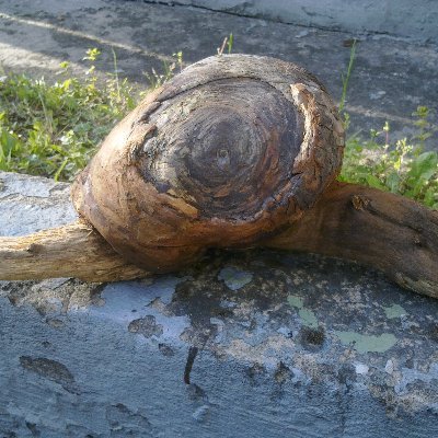 annadomagalczyk's profile picture. 