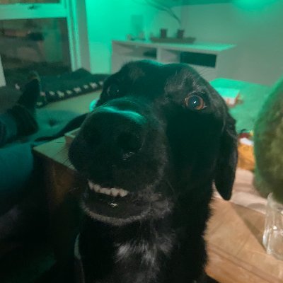 HelZacs's profile picture. 21 🇩🇰 Toxic Dane