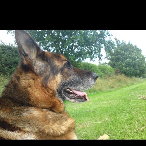 Vinnie3031's profile picture. 