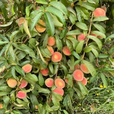 EyM_vergara's profile picture. 