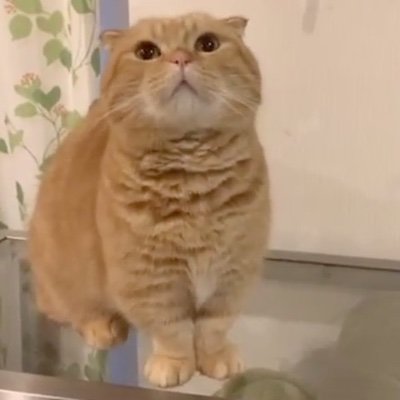小林(マーくん)さんのプロフィール画像