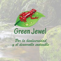 Grupo Green Jewel(@GrupoGreenJewel) 's Twitter Profile Photo