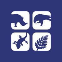 Mohamed bin Zayed Species Conservation Fund (@speciesfund) 's Twitter Profile
