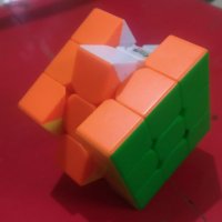 Thyonosulis (@thyonosulis) 's Twitter Profile