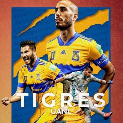 Feliz Siendo Tigre !!! es un Orgullo !!! es mi Pasión !!! es Tigres !!! GANE o pierda !!!
Mayor de la Real Fuerza Ebria !!!