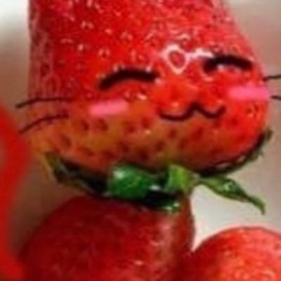 oceana_rabalais's profile picture. my heart yearns for the seas 🏴‍☠️🤎⚔️🪝🏝