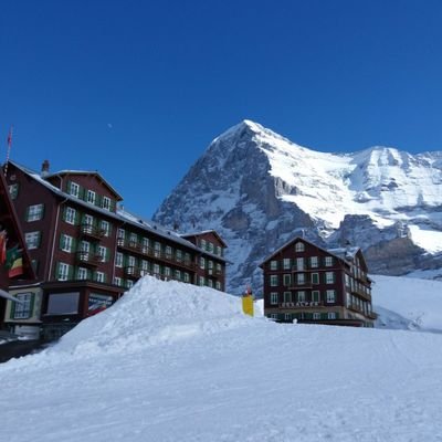 bD_8_7's profile picture. EUFC fan. No sense in being pessimistic... It wouldn’t work anyway.